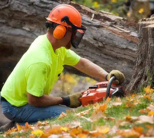 tree services Halesite